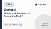 Non Verbal Reasoning (NVR) 11 plus - 2 Papers